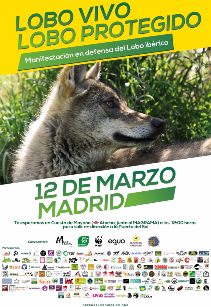 ¡LOBO VIVO, LOBO PROTEGIDO! · Scouts de España