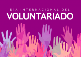 Voluntariado