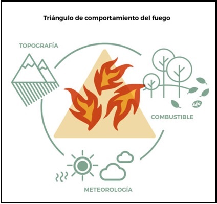 Triángulo comportamiento del fuego - Greenpeace