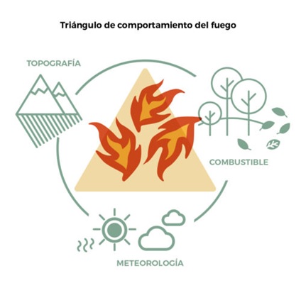 Triángulo comportamiento del fuego - Greenpeace