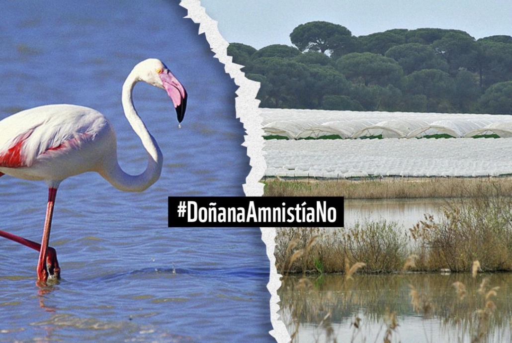 #DoñanaAmnistíaNo