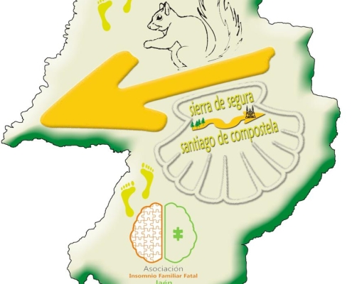 Logo Camino Solidario