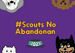 Scouts No abandonan 2023
