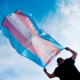Persona llevando bandera trans