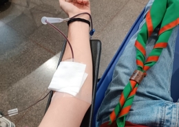 Donación Sangre