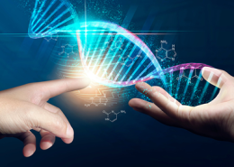 Día Mundial de la Ciencia para la Paz