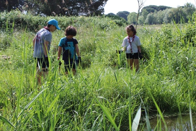 Acciones EcoClan Acciones EcoClan