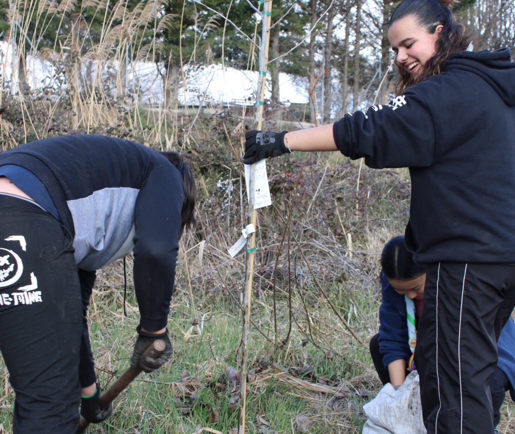 Replantación EcoClan Replantación EcoClan