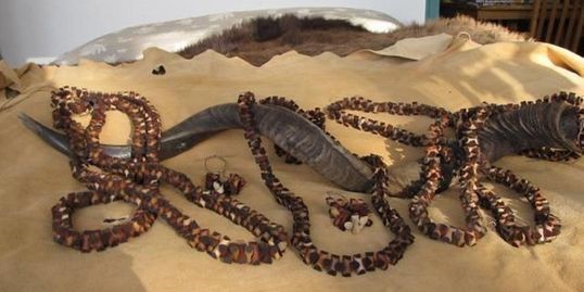 Collar cuentas Dinizulu