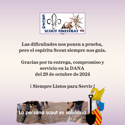 DISEÑO GRACIAS DANA