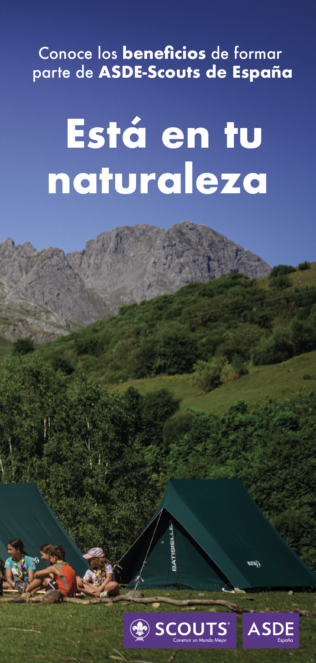 Screenshot 2026-01-15 at 09.35.33