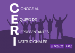 Equipo de RRII web