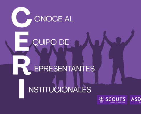 Equipo de RRII web
